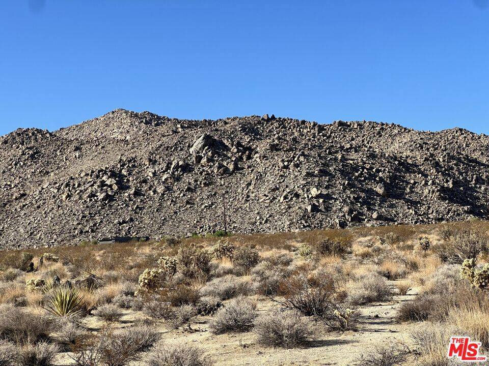 Twentynine Palms, CA 92277,4 Wolfe RD
