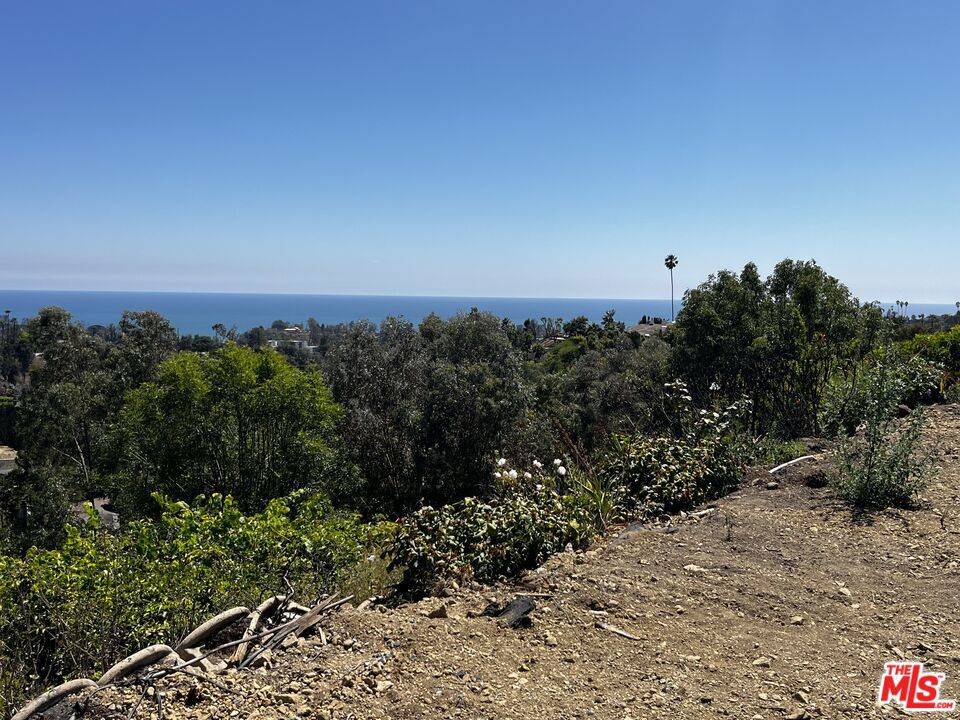 Pacific Palisades, CA 90272,1243 Las Lomas AVE