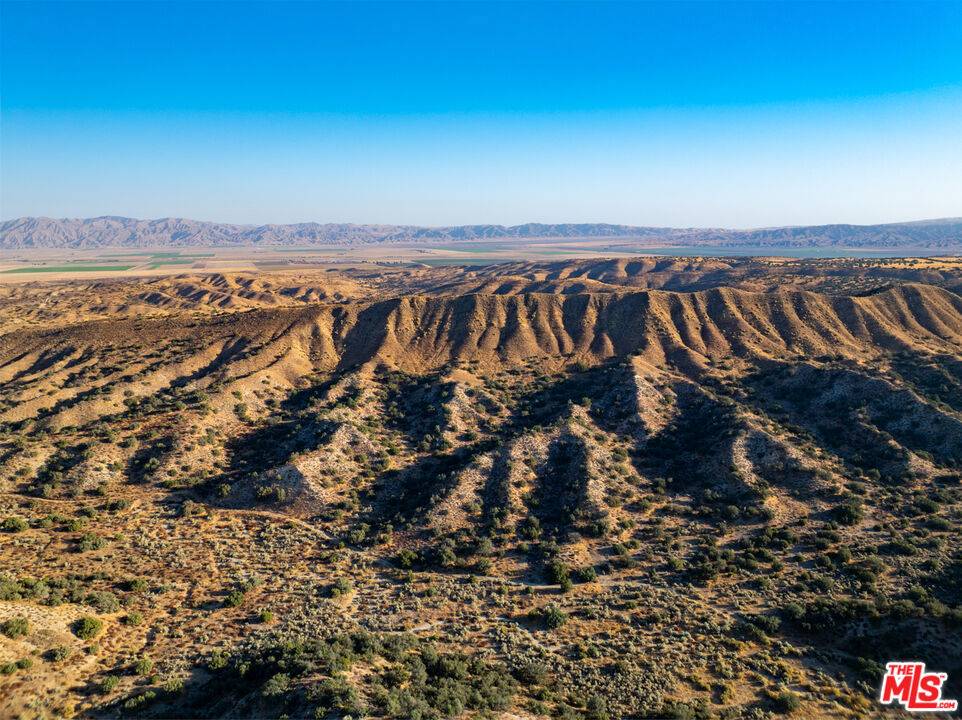 Cuyama, CA 93254,0 Tennison Canyon