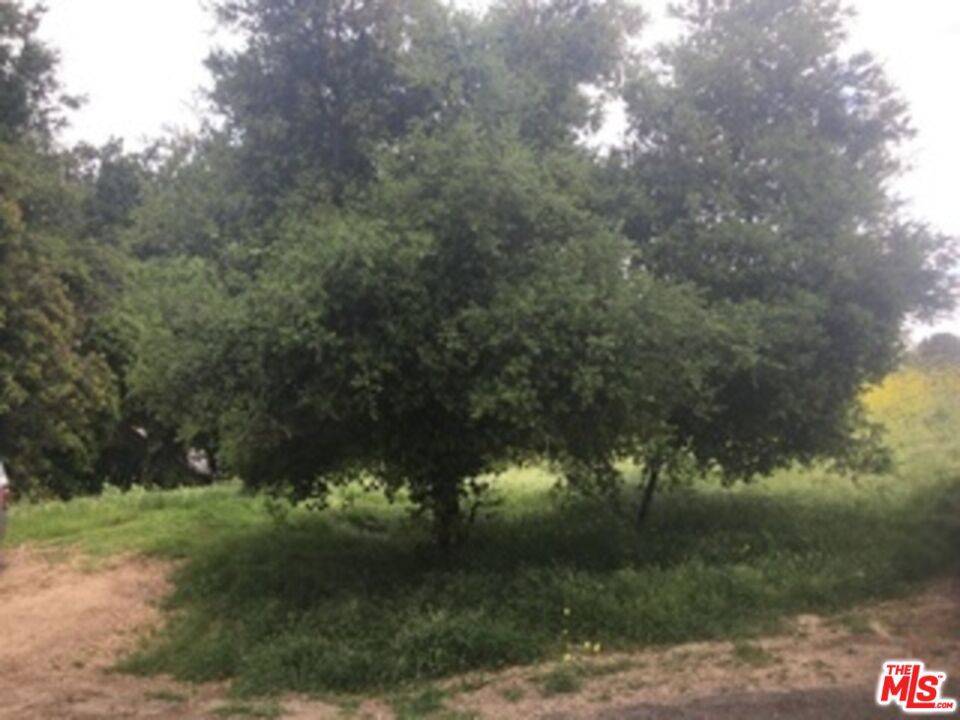 Calabasas, CA 91302,0 Aster Trail Rd.