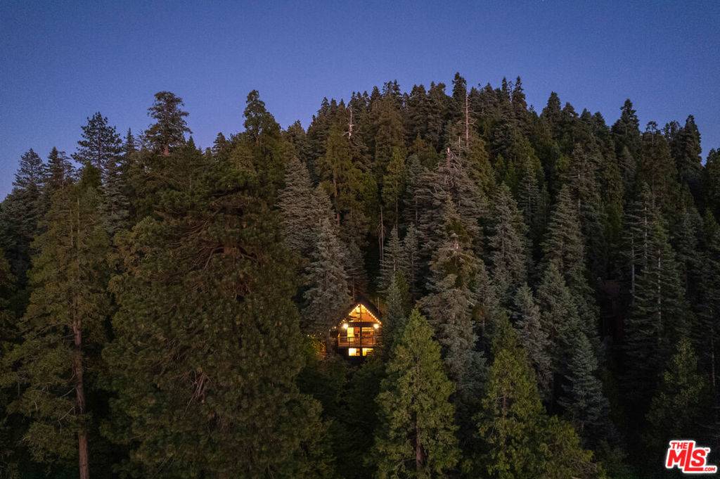 Lake Arrowhead, CA 92352,580 Lakewood RD