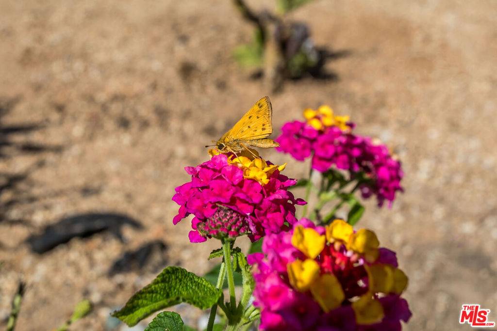 Los Angeles, CA 90047,9806 S Van Ness AVE