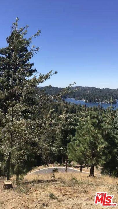 Lake Arrowhead, CA 92352,101 Mill Pond RD