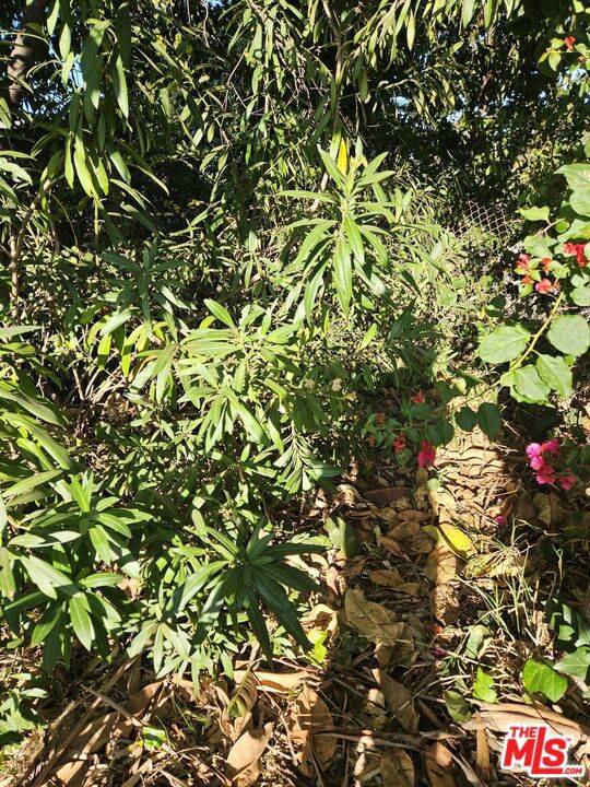 Culver City, CA 90232,4299 Madison AVE