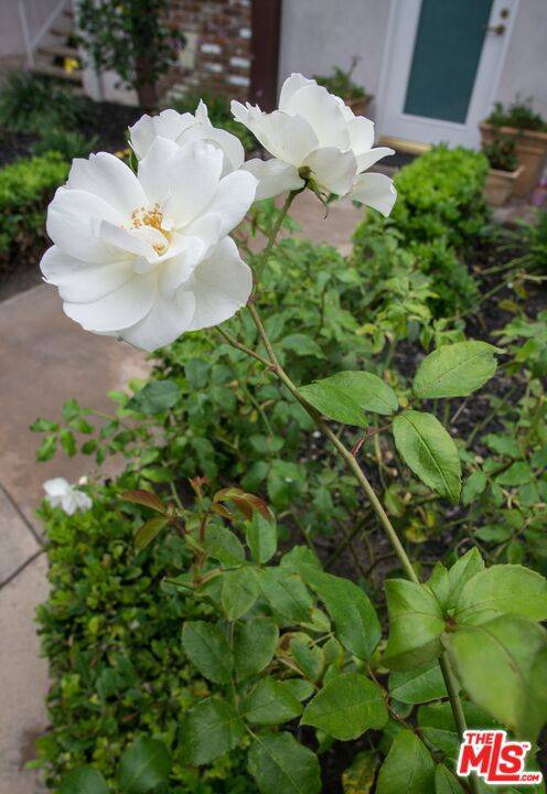 Playa Del Rey, CA 90293,8130 Redlands ST #15