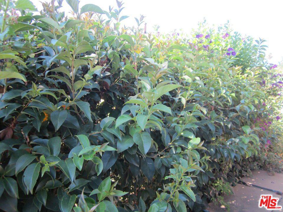 Winnetka, CA 91306,6837 Lubao AVE