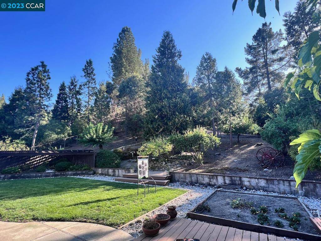 Moraga, CA 94556,280 Scofield Dr