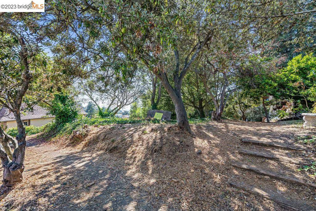 Berkeley, CA 94708,614 Cragmont Ave