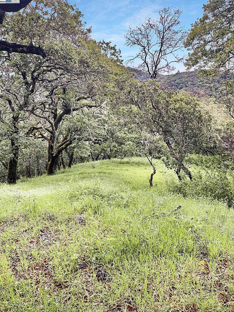 Fairfax, CA 94930,Address not disclosed