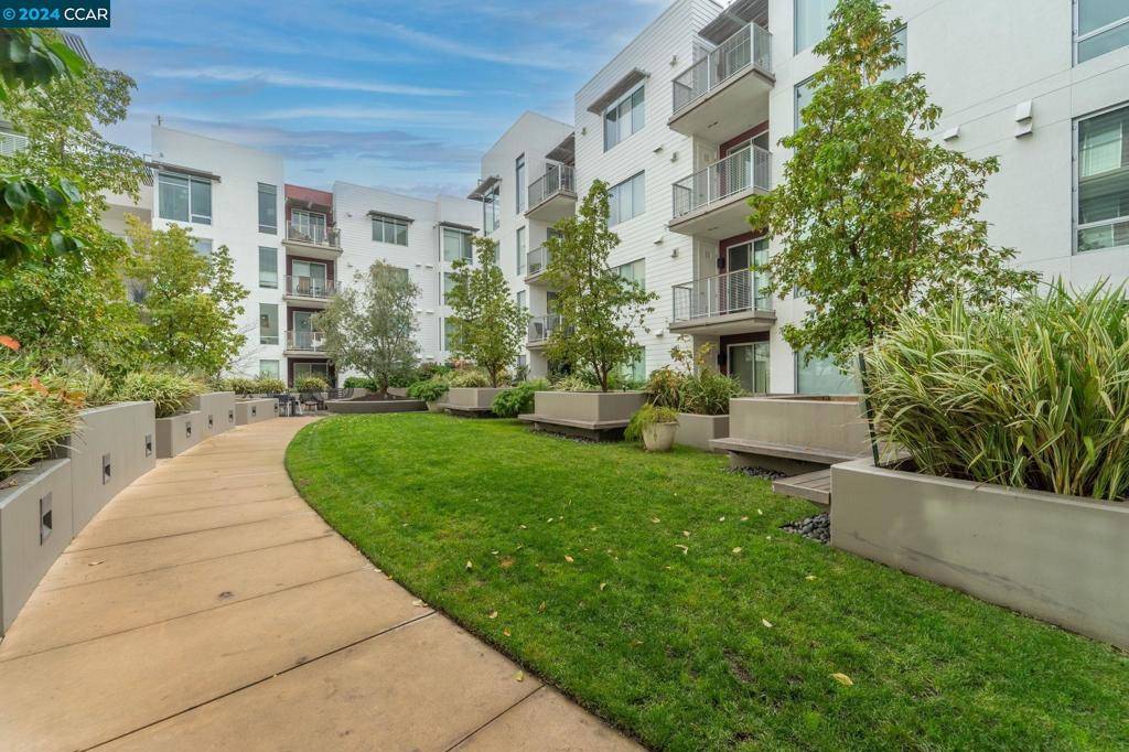 Walnut Creek, CA 94596,555 Ygnacio Valley Rd #124
