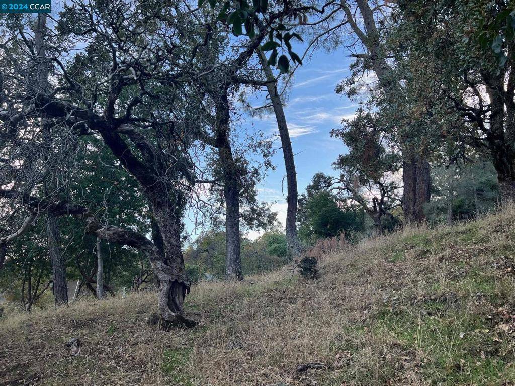 Napa, CA 94558,197 Country Club Lane