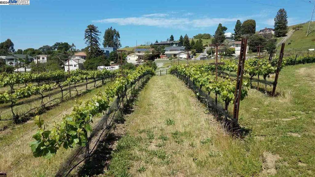 Hayward, CA 94542,0 Fairview Dr.