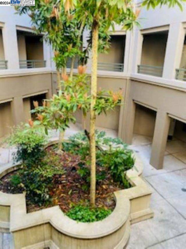 Oakland, CA 94618,260 Caldecott Ln #225