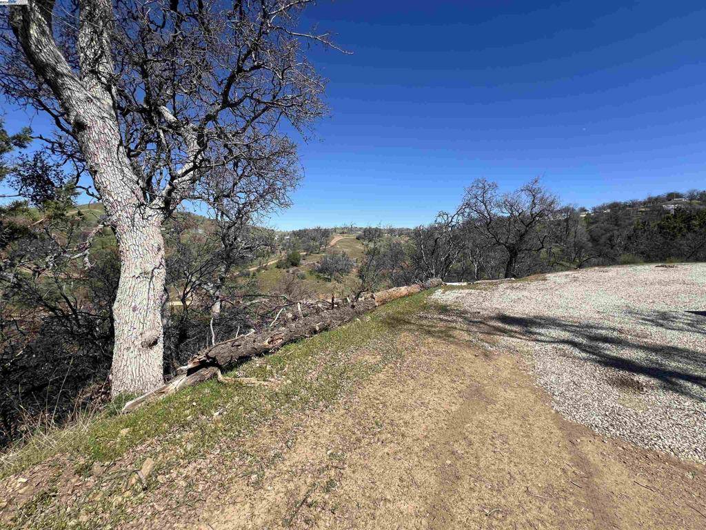 Tracy, CA 95377,17488 W Corral Hollow Rd