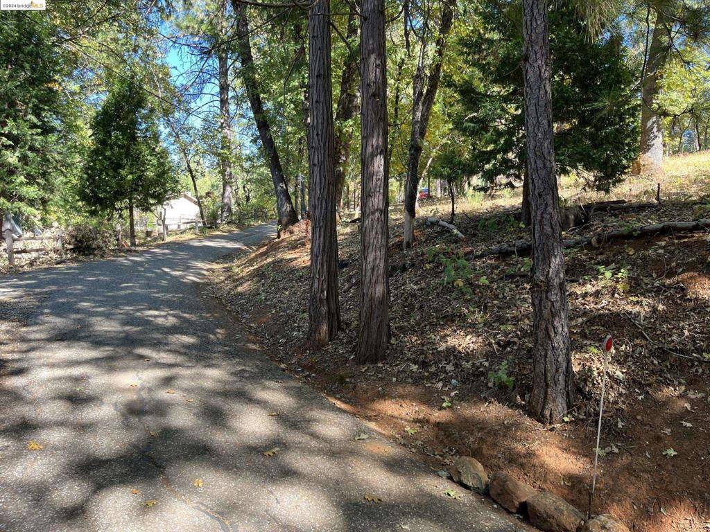 Grass Valley, CA 95949,14562 Flicker Dr
