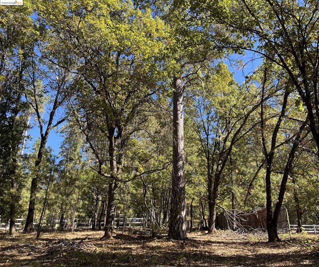Grass Valley, CA 95949,14562 Flicker Dr