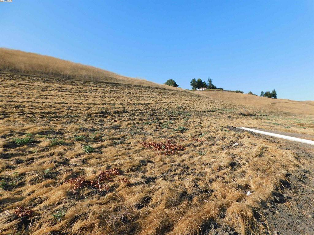 Livermore, CA 94551-8806,2901 Las Positas