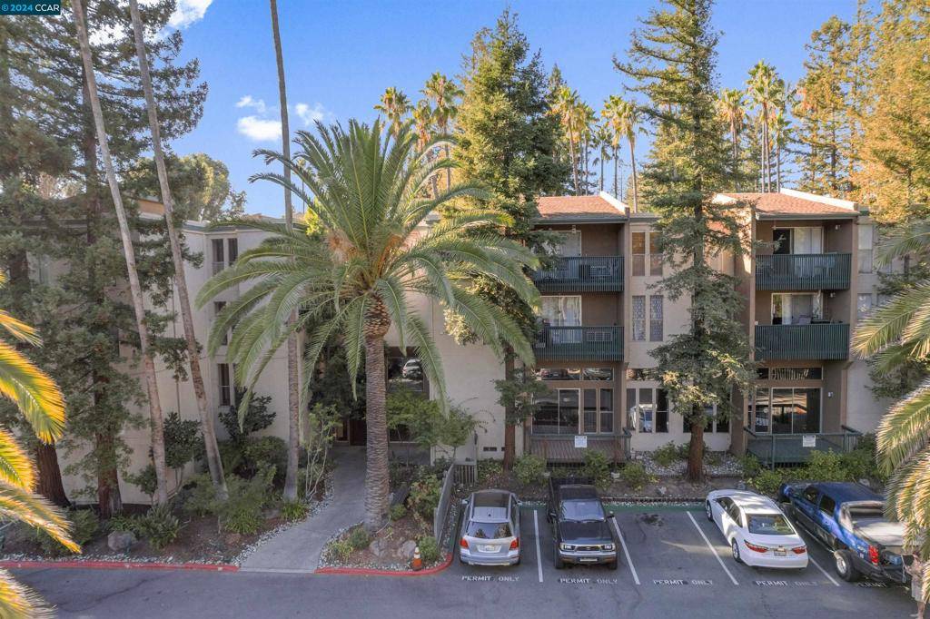 Walnut Creek, CA 94596,1240 Walker Ave #305