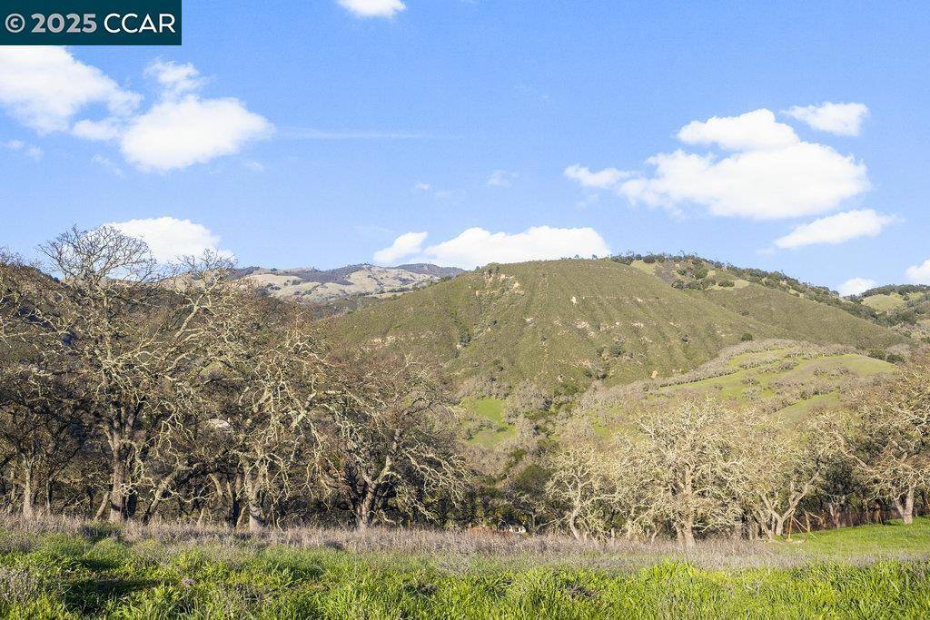 Diablo, CA 94528,2300 Caballo Ranchero Dr
