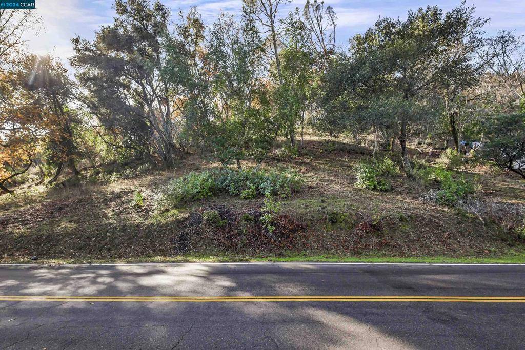 Napa, CA 94558,78 Circle Oaks Drive