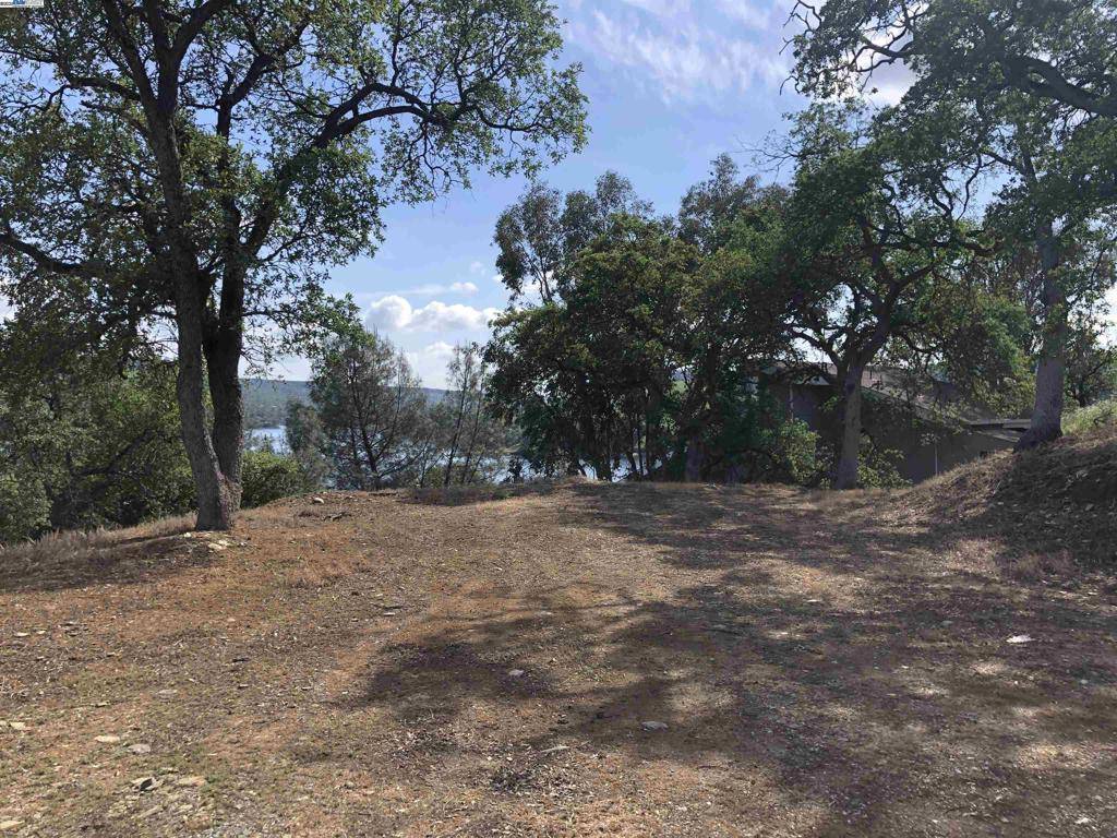 Copperopolis, CA 95228,512 Winchester Way