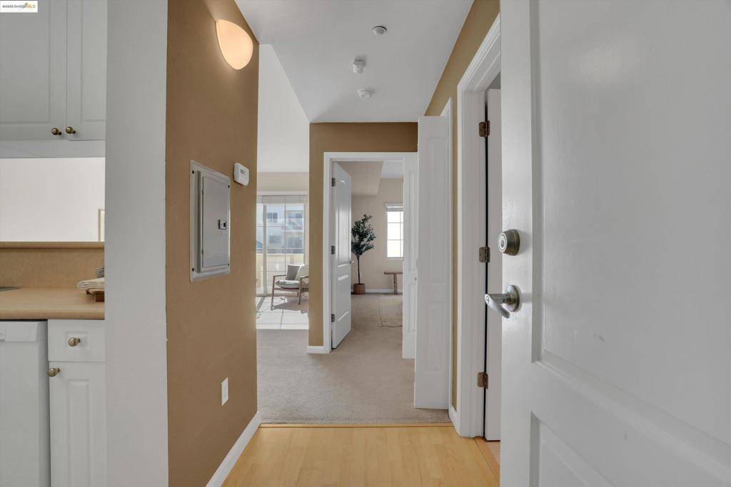 Walnut Creek, CA 94596,1315 Alma Ave #346