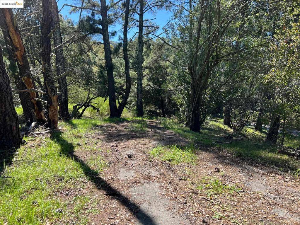 Orinda, CA 94563,58 Zander Court