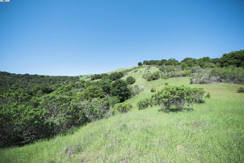Orinda, CA 94563,2 Dolores Way