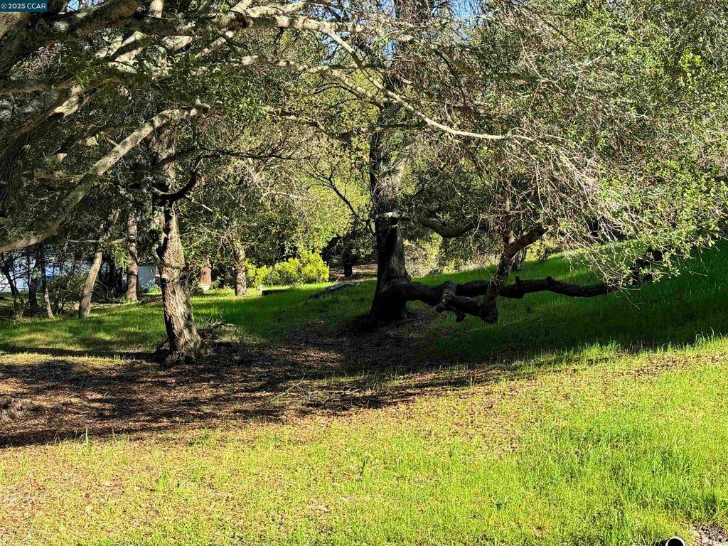 Orinda, CA 94563,0 Lind Ct
