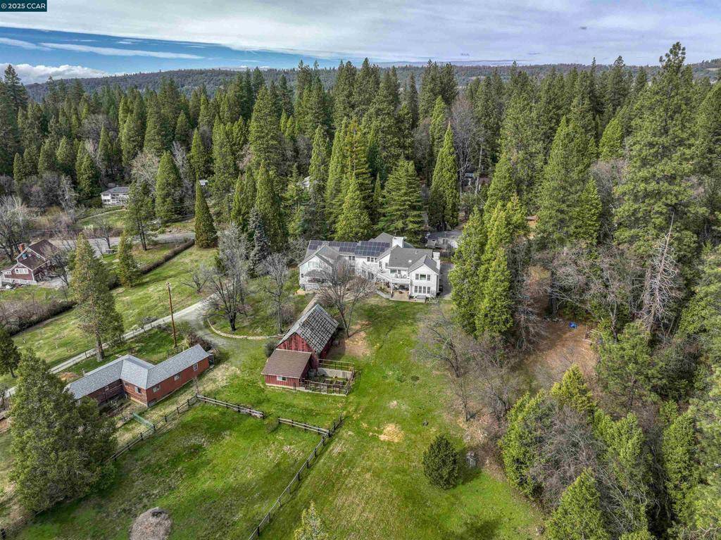 Nevada City, CA 95959,11417 Red Dog Rd