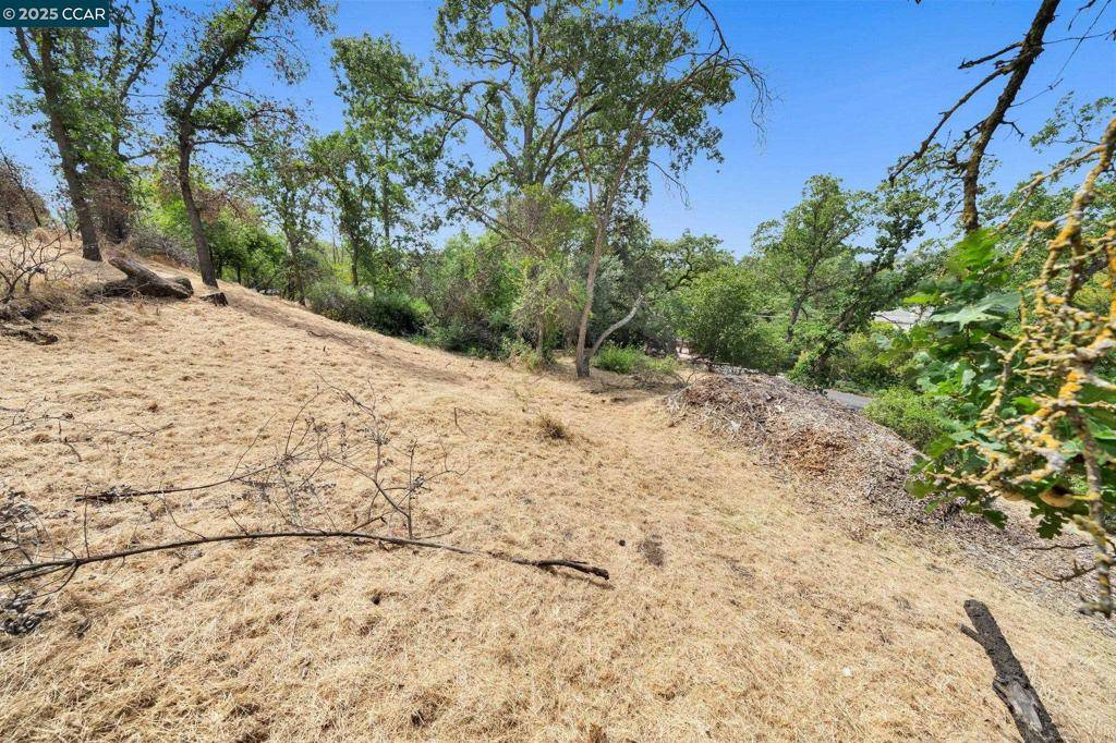 Walnut Creek, CA 94598,0 Homestead Ave