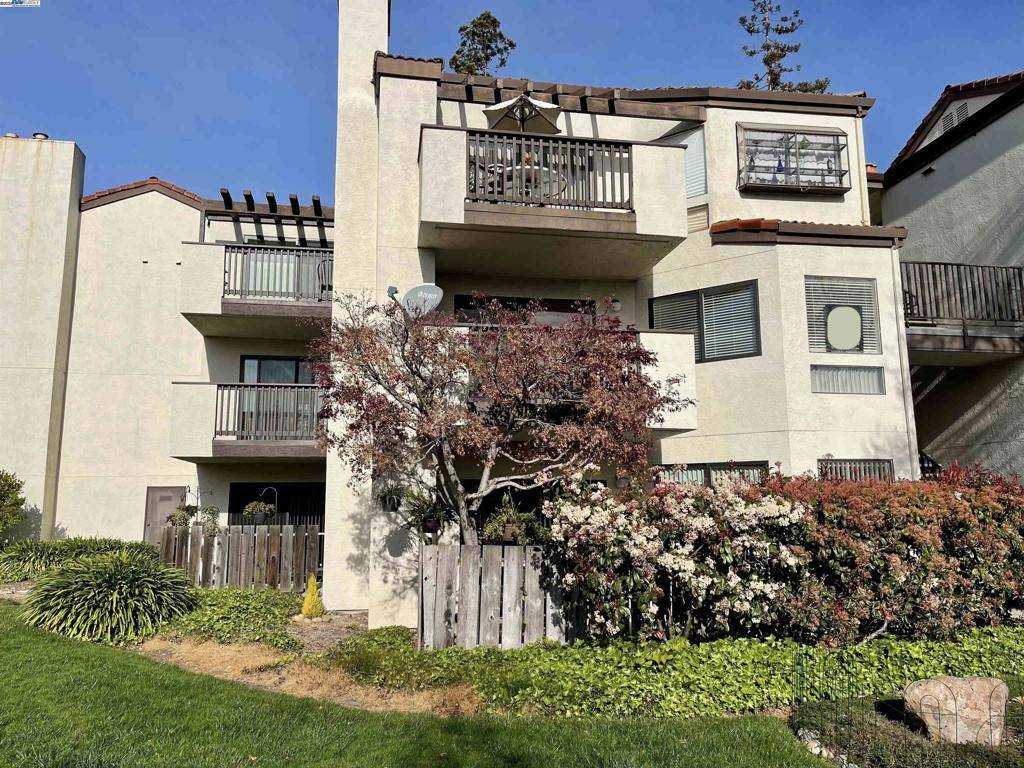Hayward, CA 94546,21071 Gary Dr #203