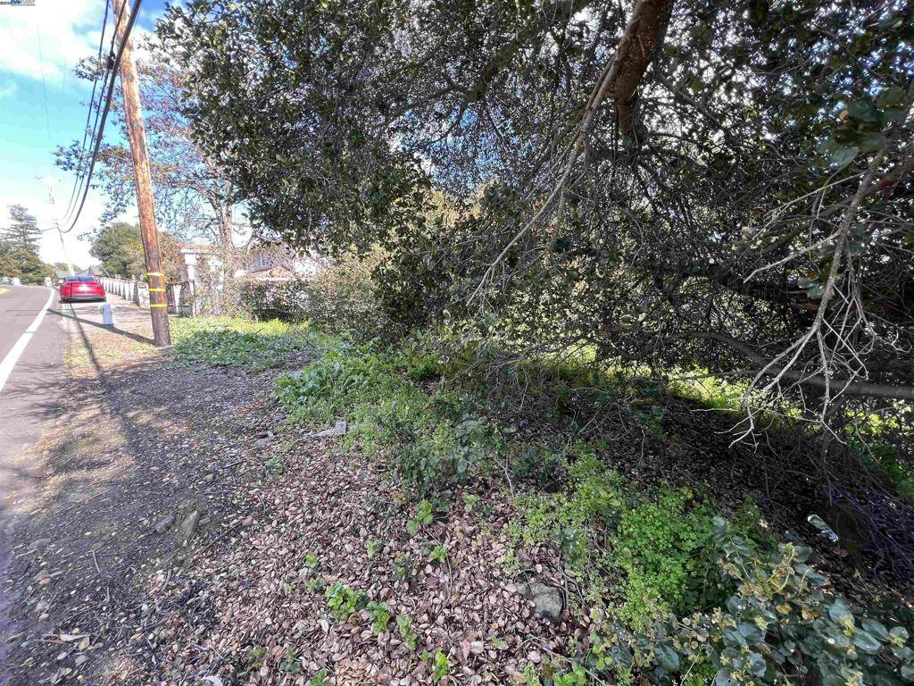 Castro Valley, CA 94546,0 Jensen Rd