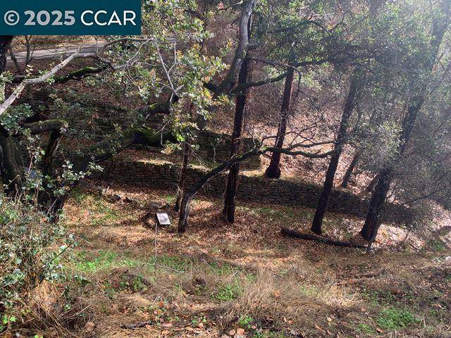 Oakland, CA 94605,Mountain View Ave