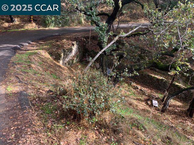 Oakland, CA 94605,Mountain View Ave