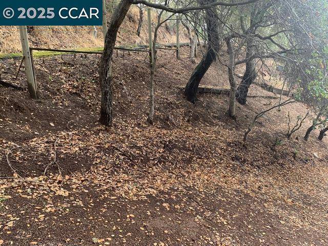 Oakland, CA 94605,Mountain View Ave