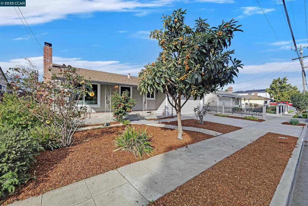 Hayward, CA 94541,23335 Reed Way