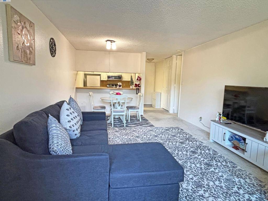 San Bruno, CA 94066,7229 Shelter Creek Ln