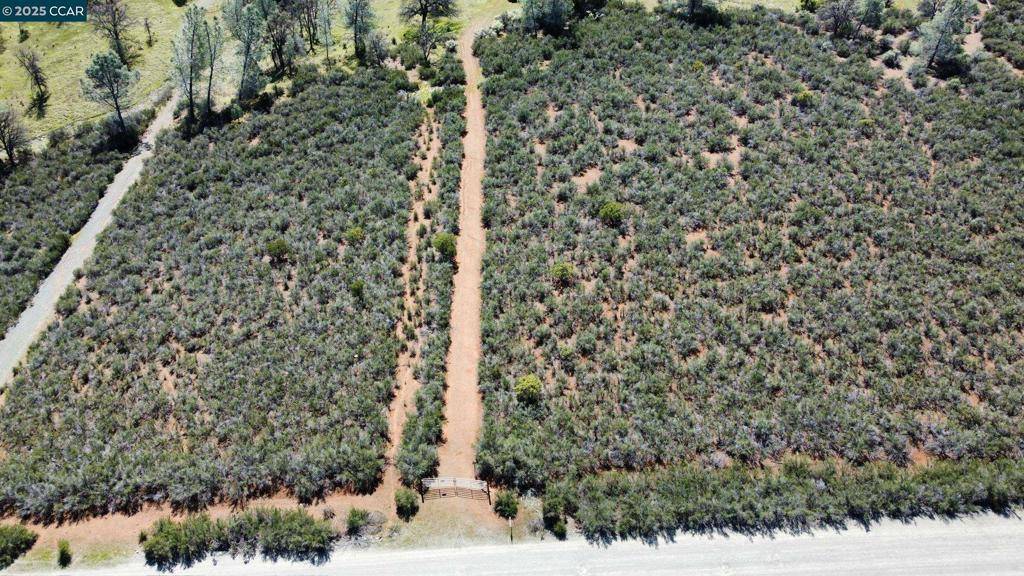 Stonyford, CA 95979,0 Lakeview Loop