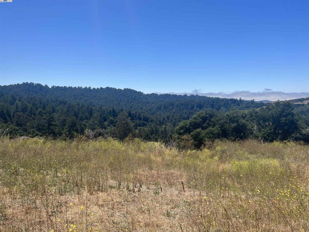La Honda, CA 94020,20 Scenic Drive