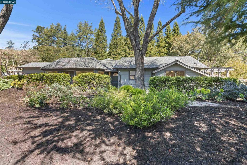 Moraga, CA 94556,225 Rheem Blvd