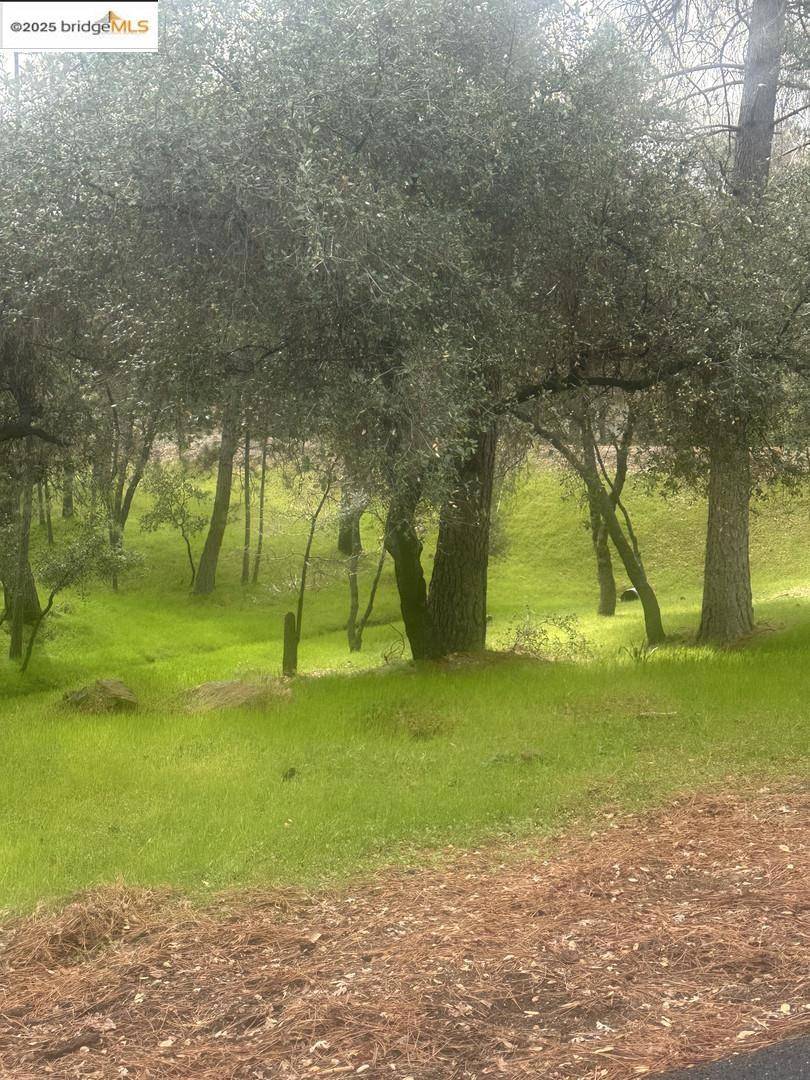 Groveland, CA 95321,13095 Fox CT