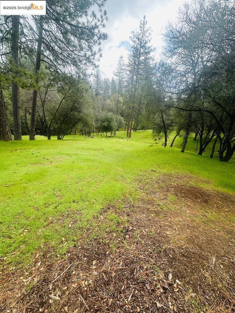 Groveland, CA 95321,13095 Fox CT