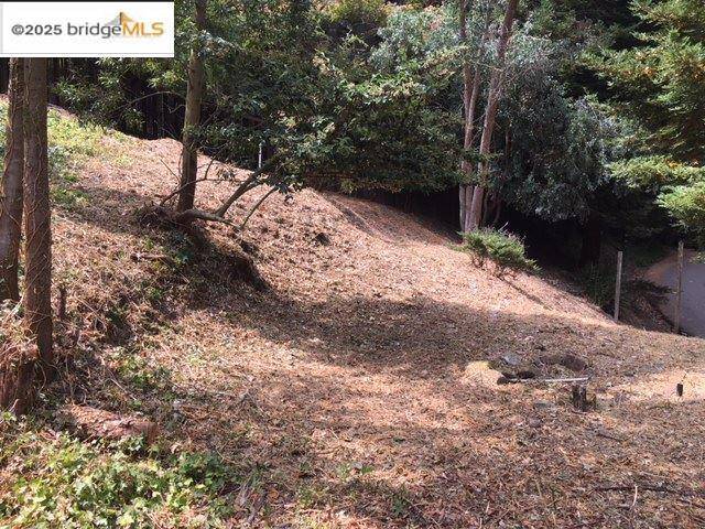 Oakland, CA 94611,1135 Glencourt Dr.