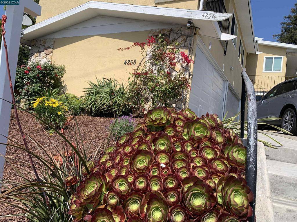 Oakland, CA 94619,4258 Masterson St