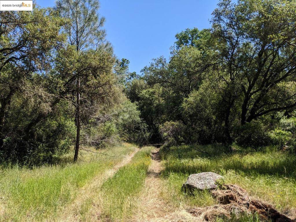 Rescue, CA 95672,4095 Green Valley RD