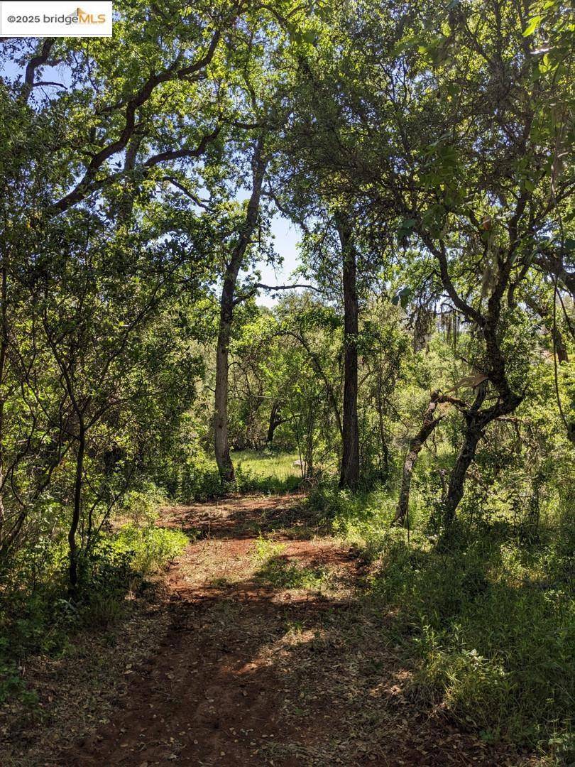 CA 95672,4095 Green Valley RD