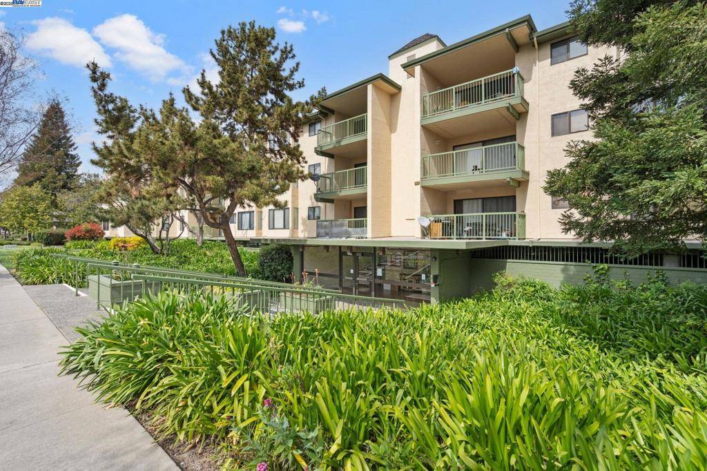 Fremont, CA 94536,38780 Tyson Ln #206C