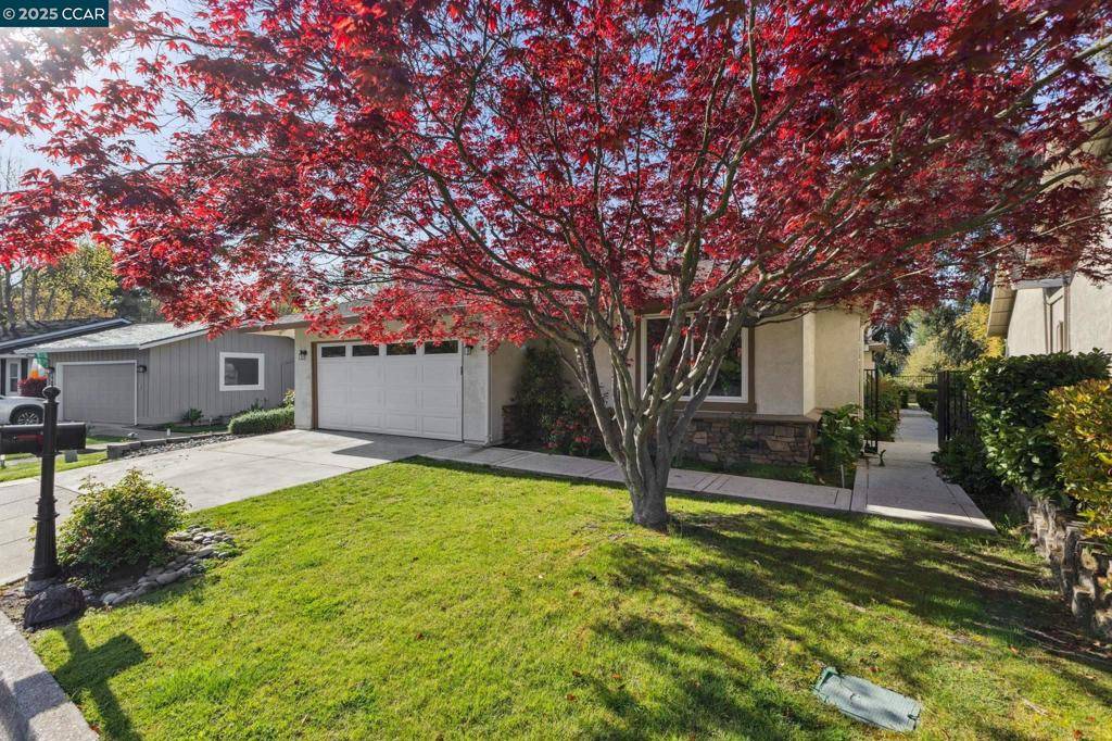 Danville, CA 94526,597 Saint George Rd