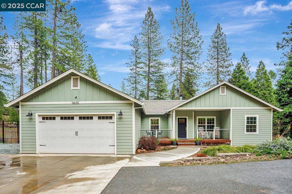 Pioneer, CA 95666,16630 Alpine Ln